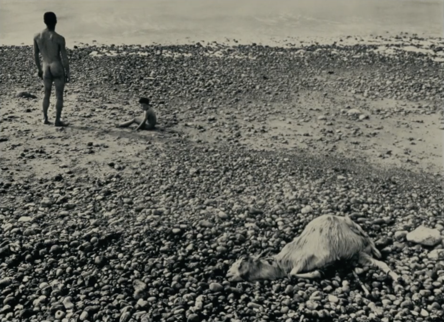 Description de l’image